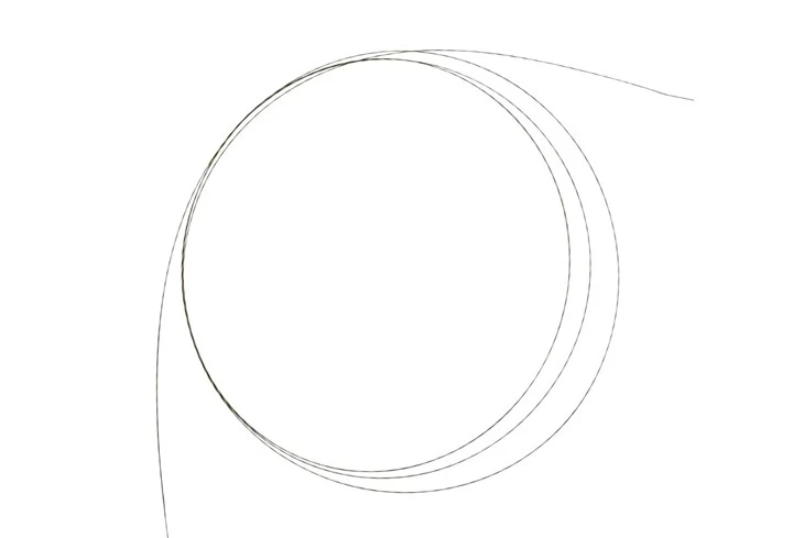 OEM Endoscope ERCP Guidewires